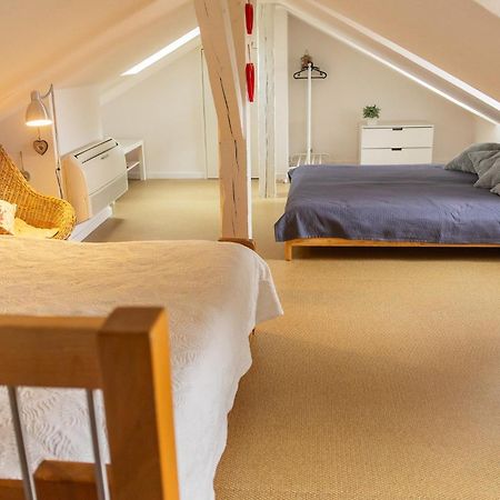 City Center Duplex Loft كولمار المظهر الخارجي الصورة